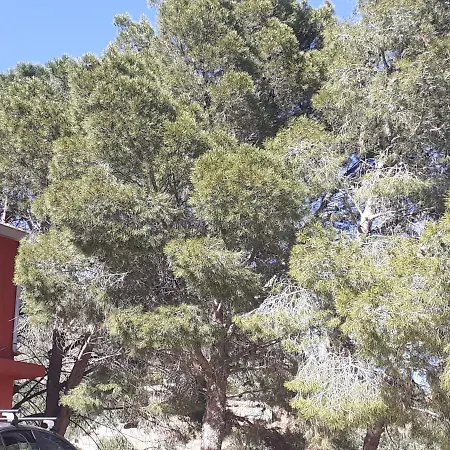 Casa Solanas New